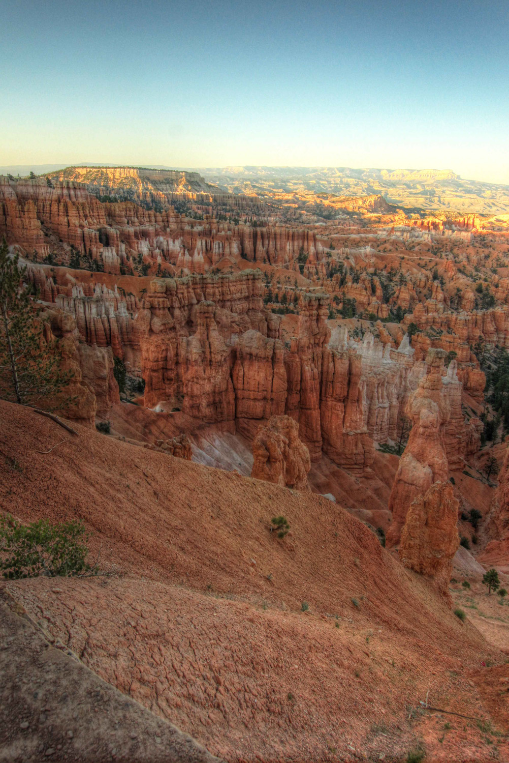 bryce