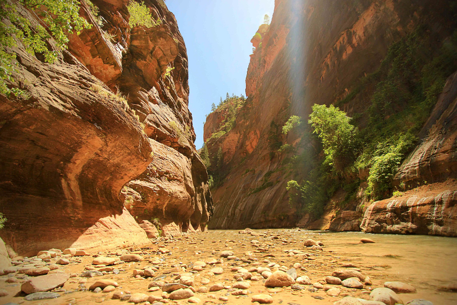 narrows