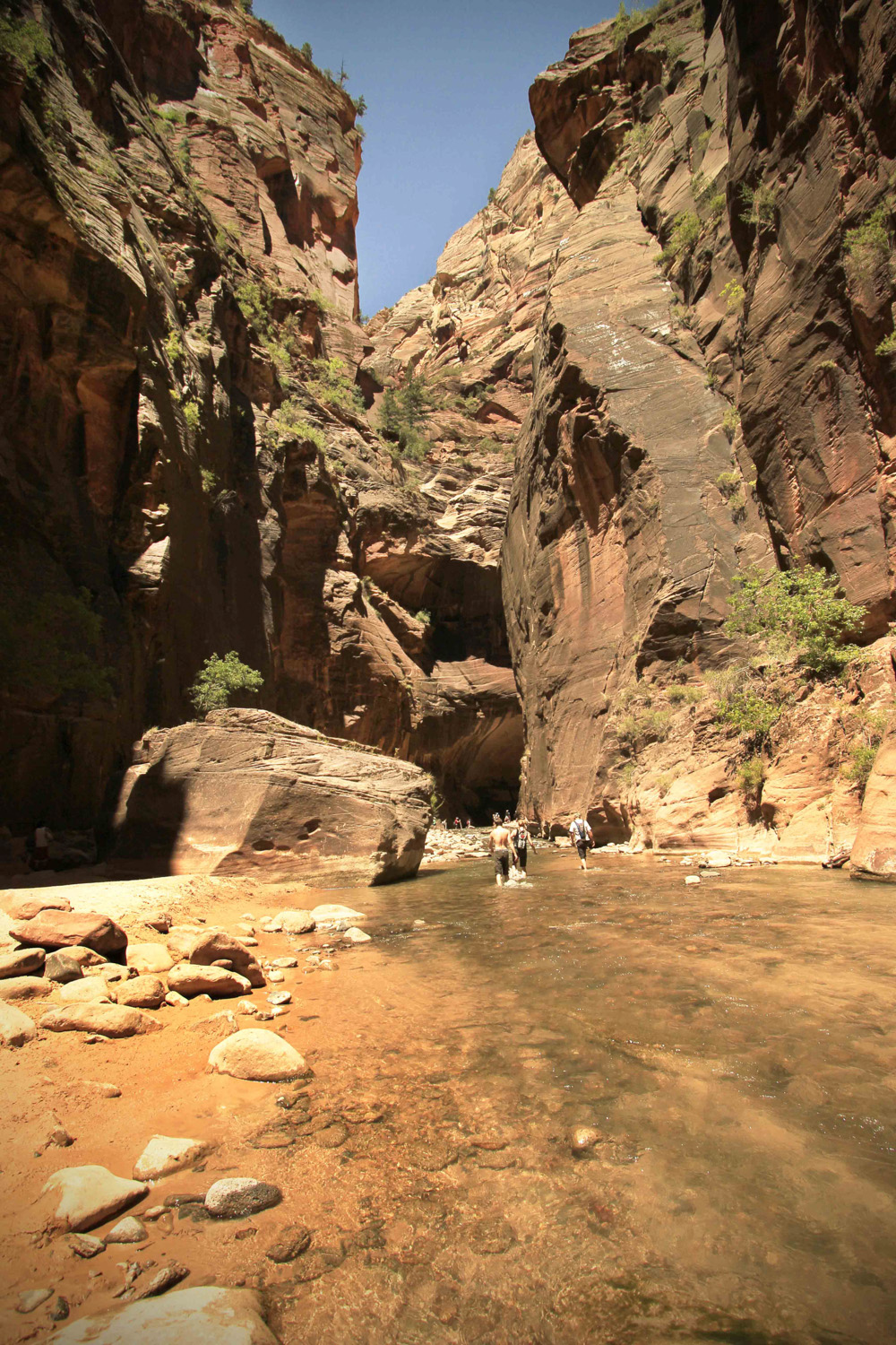 narrows6