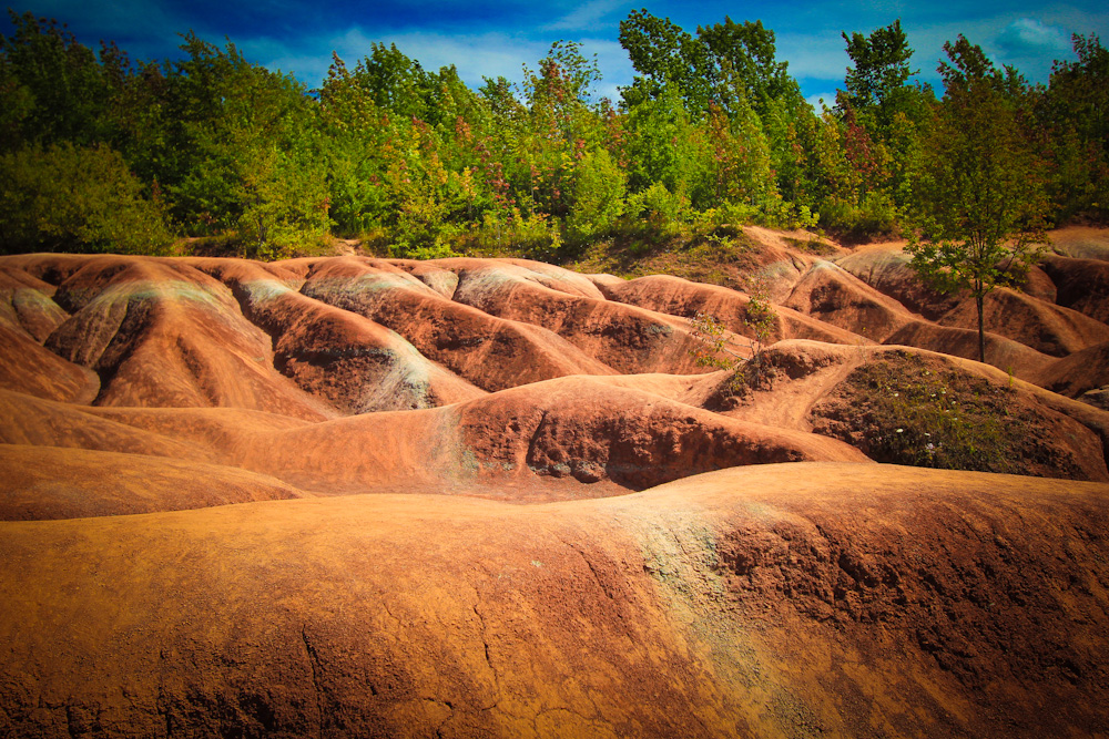 Caledon-16-16