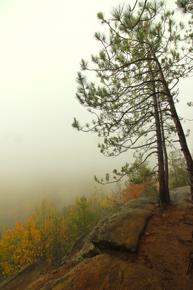 clifftree
